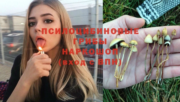 молекула духа Лиски
