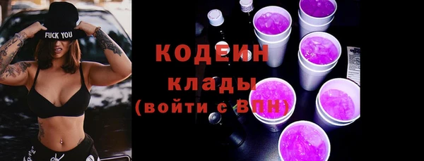 молекула духа Лиски